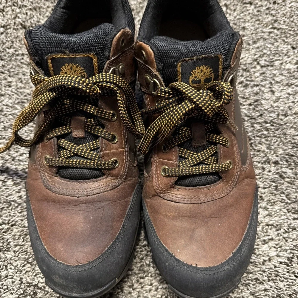 Timberland Mens 10.5 Mt. Maddsen Mid Hiking‎ Waterproof Boots Brown